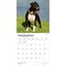 BrownTrout; American Pit Bull Terriers | 2027 12 x 24 Inch (Hanging) Monthly Square Wall Calendar | Plastic-Free; Category:Wall Calendars; Image:5